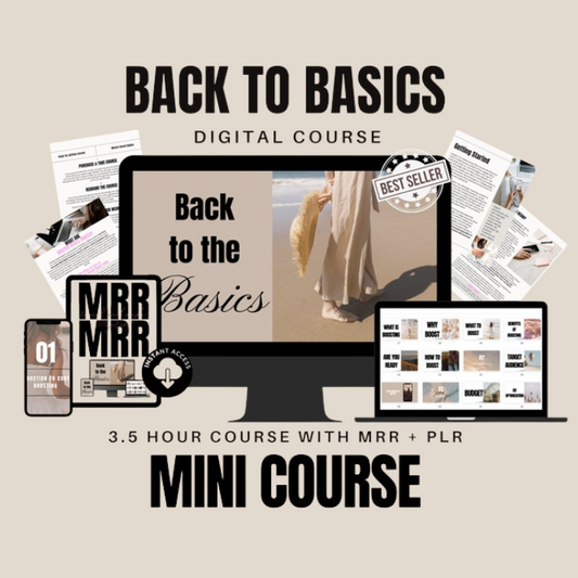Back to Basics Course with MRR + PLR | 3.5 Hours Video and Audio Course | DFY Mini Course